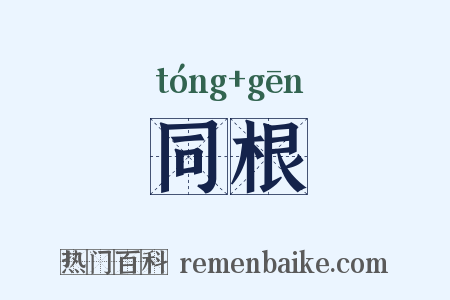 同根是什么意思的图片